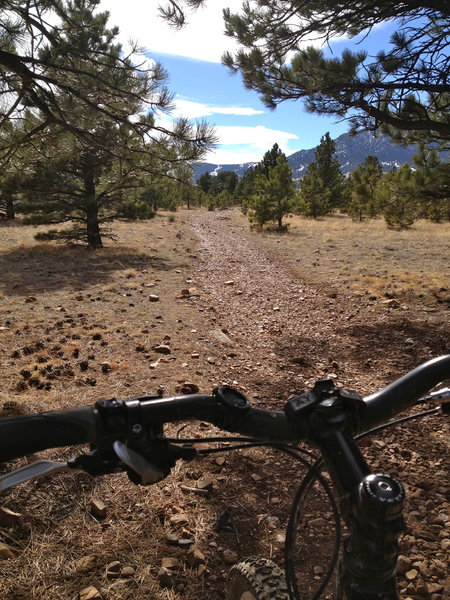 Loose rocks on this section of trail, near the southernmost section of the Marshall Mesa trail system.