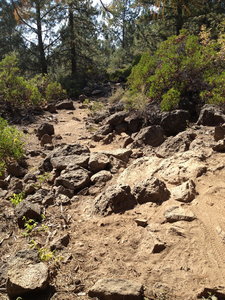 Fast and furious for best chance of success.