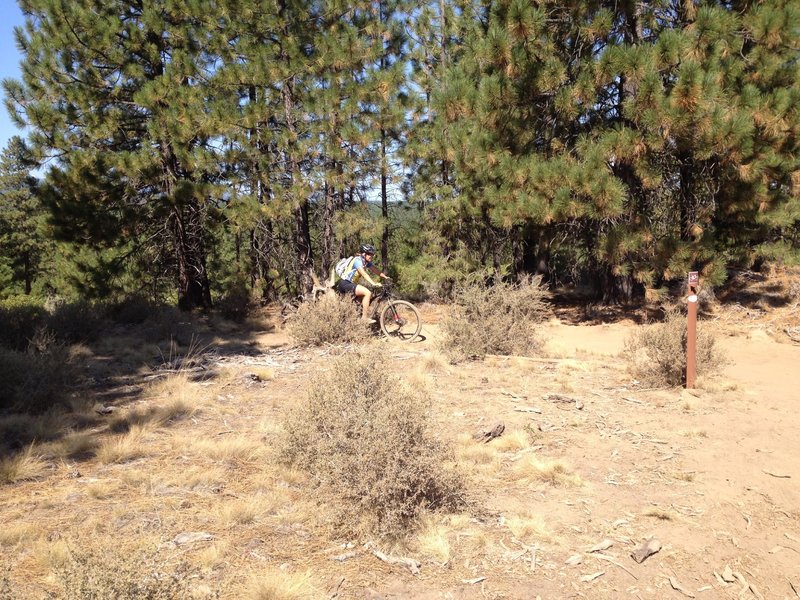 Central Oregon riding