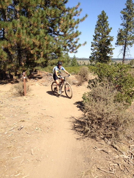 Easy singletrack