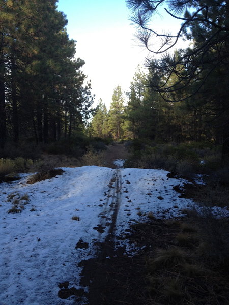 First snow of the fall