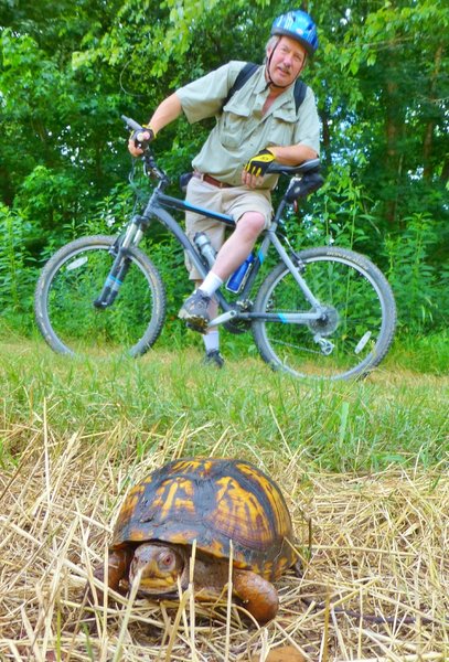 Who will win this race, the turtle or the mt. biker?