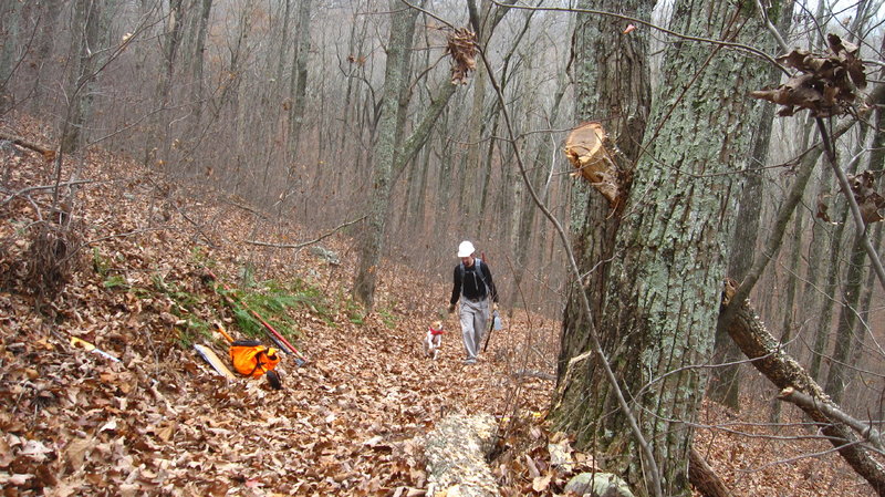 Workday on Hurricane Trail and Pinhoti