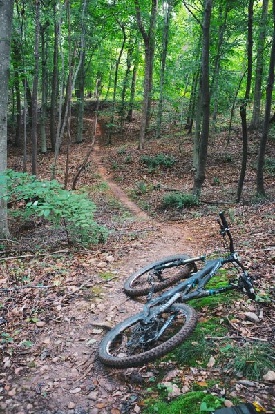 A nice flowing section on Little Pisgah.