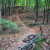 A nice flowing section on Little Pisgah.