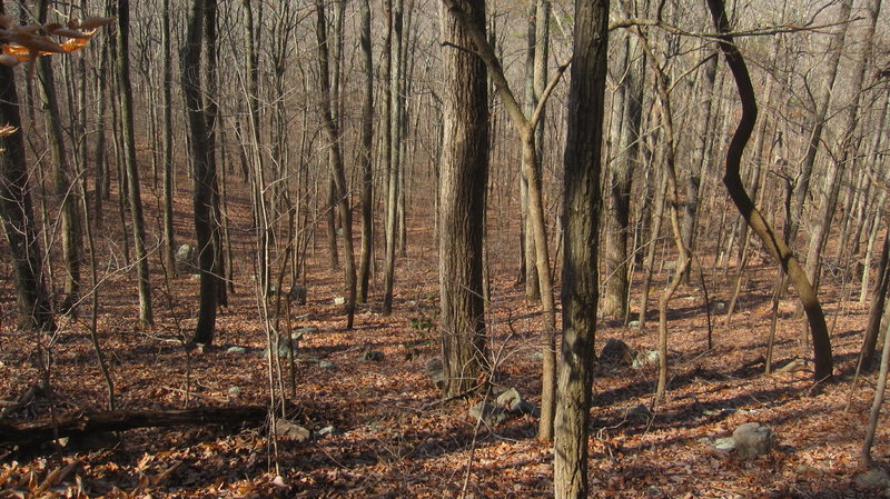 Steeper section of Hurricane Trail