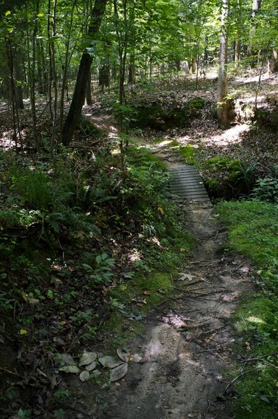 A nice brook crossing on Crooked Stick.