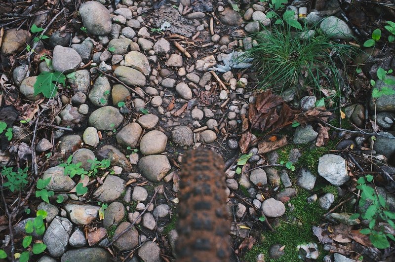 Terrain at the beginning of Little Pisgah.