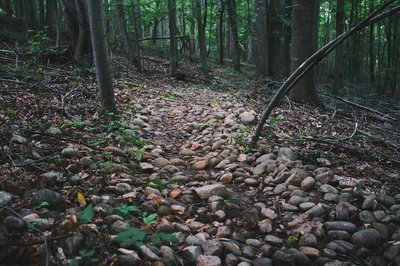 Beginning of Little Pisgah trail.