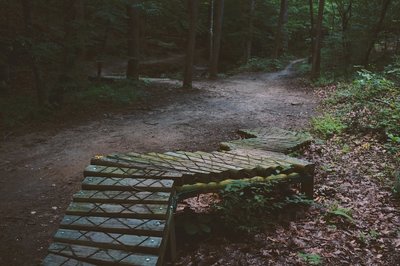 A skills bridge.