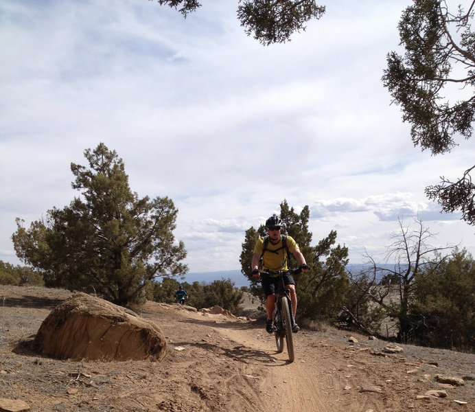 Climbing the relatively mellow Prime Cut trail.