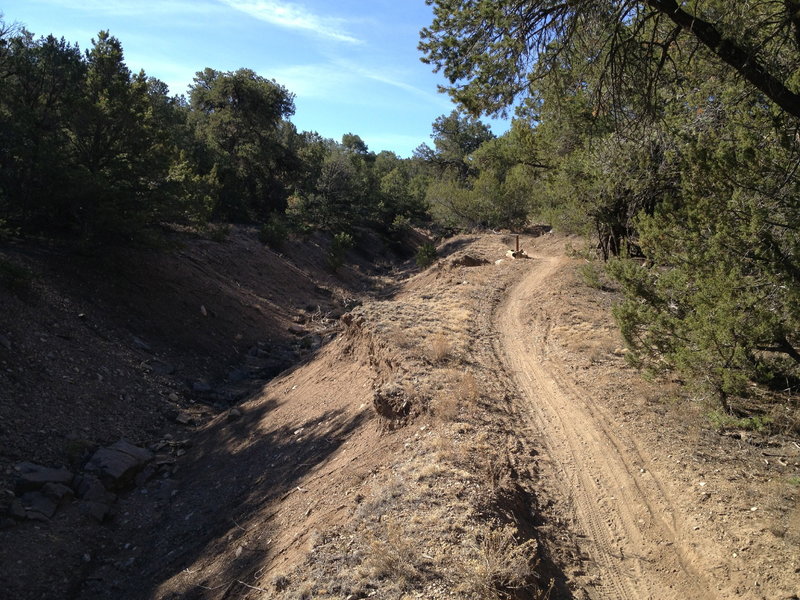 Smooth single-track paralleling a stream bed