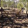 Bypass this gate for the North Cedro Single-track Loop or go through it for the Coyote Chamisoso Loop