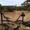 The gate at the end of the Coyote Trail, the road beyond is just a little loop pullout, Rd 462 is just beyond the trees and you continue straight across that.