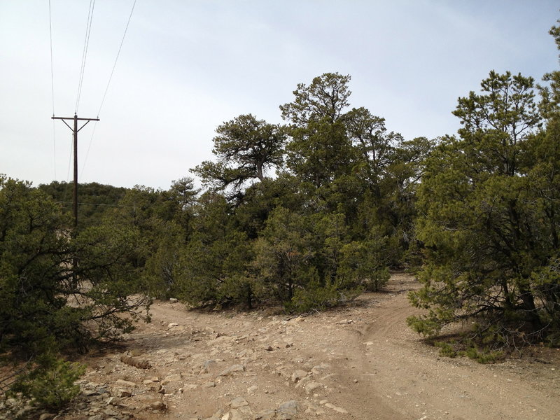 The less traveled but vital turn off to cut the corner of the power line roads.