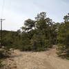 The less traveled but vital turn off to cut the corner of the power line roads.