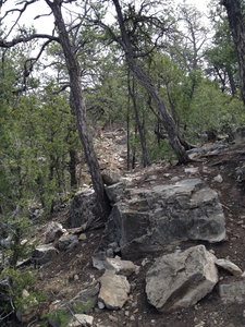 Um, yeah, big rock steps