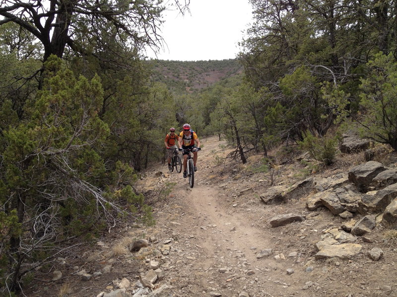 Riders on Delbert's Trail passing approaching the intersection with Chamisoso from the opposite direction.