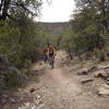 Riders on Delbert's Trail passing approaching the intersection with Chamisoso from the opposite direction.
