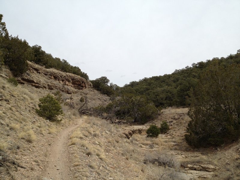 Chamisoso Trail in the canyon.