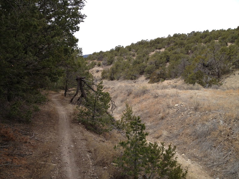 More single-track heading down Chamisoso Canyon.