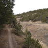 More single-track heading down Chamisoso Canyon.