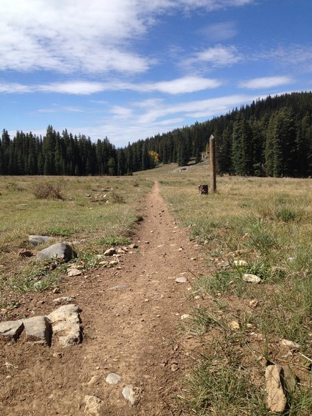 The start of the Doctor's Park singletrack descent that makes this ride a favorite among locals.