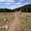 The start of the Doctor's Park singletrack descent that makes this ride a favorite among locals.