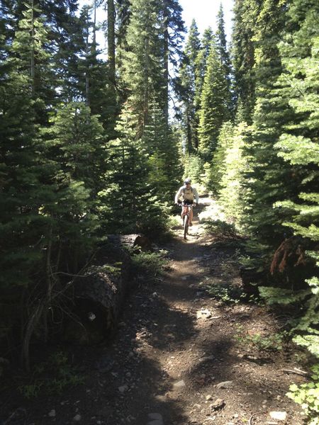 This was once a road, but now feels more like singletrack.