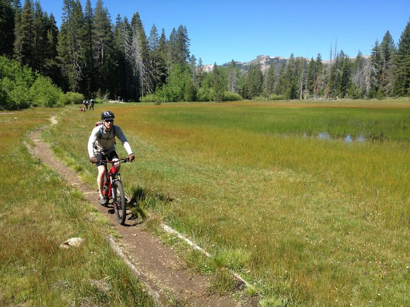 On the Tahoe Rim Trail, going through Page Meadow.