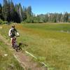 On the Tahoe Rim Trail, going through Page Meadow.