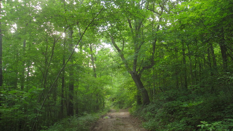 At start of climb to Buzzard's Roost on the Crow Valley Trail.