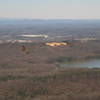 Buzzards at Buzzard's Roost