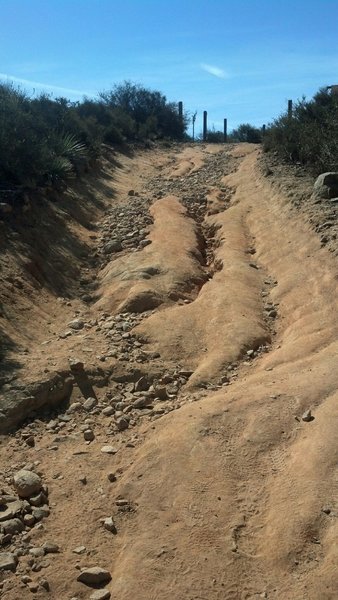 Heading up to the benches after finishing the Equine Incline loop in the counter-clockwise direction.