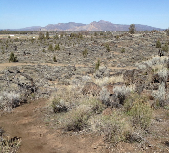 Smith Rock Climbing in the distance