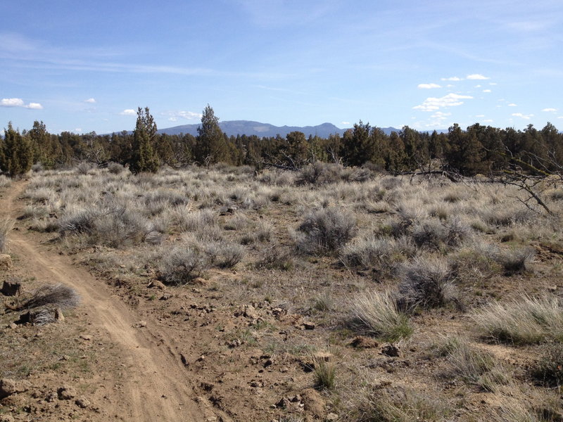 Ochoco Mountains in the distance