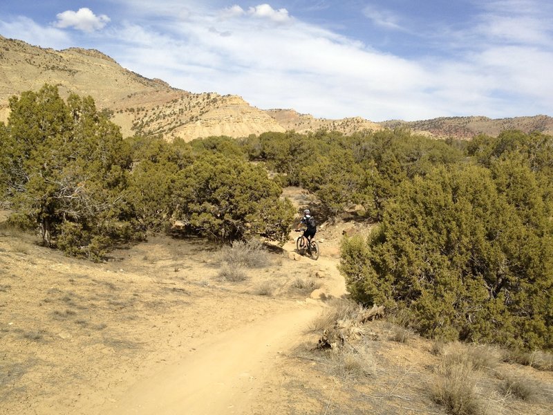 Some of the hills are a little steeper at the top of Prime Cut, but it's still easy.