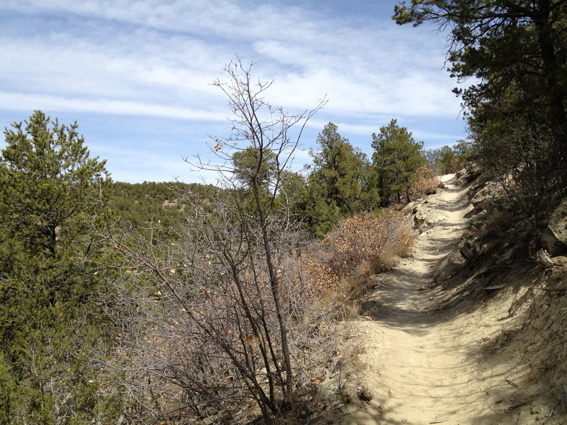 Tunnel Canyon Trail climbing along the hillside.