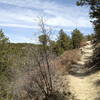 Tunnel Canyon Trail climbing along the hillside.