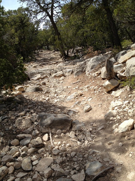 The rocky start to the West Ridge Trail from the junction with the Tunnel Canyon Trail.