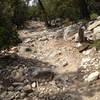 The rocky start to the West Ridge Trail from the junction with the Tunnel Canyon Trail.