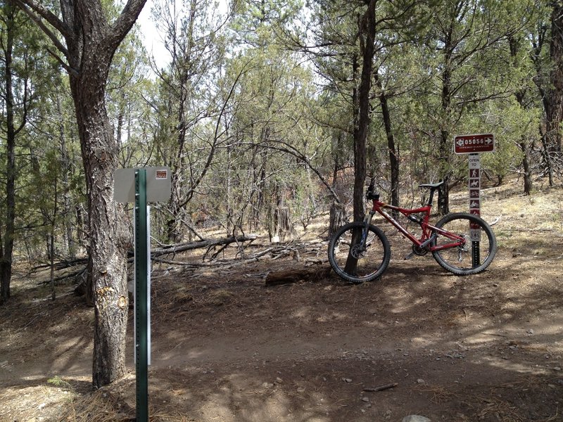 Trail junction between the West Ridge and Otero Canyon Trails.