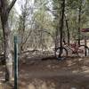 Trail junction between the West Ridge and Otero Canyon Trails.