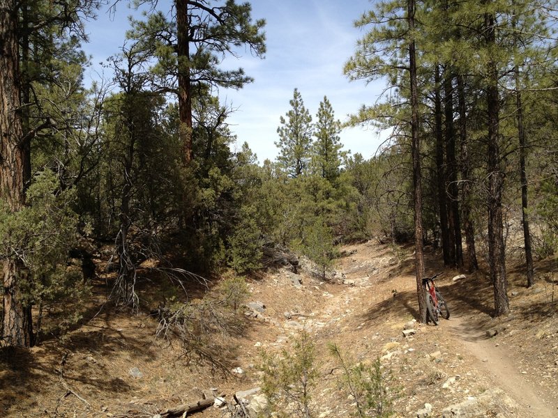 Sweet single track running down Otero Canyon.