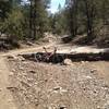 Natural ledge drop in the bottom of the canyon, you could ride around it but why?