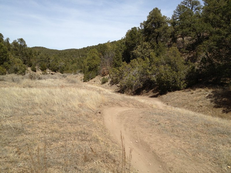 Flowing single track near the bottom of Otero Canyon.