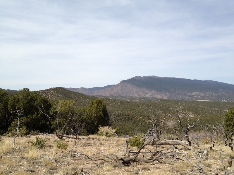 View of the backside of the Sandia Mountains