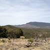 View of the backside of the Sandia Mountains