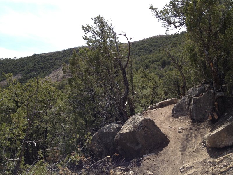 Tight spot between rocks.