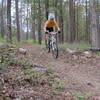 My wife catching a wee bit of air, and grinning on one of the many small drops on this roller coaster of a trail.